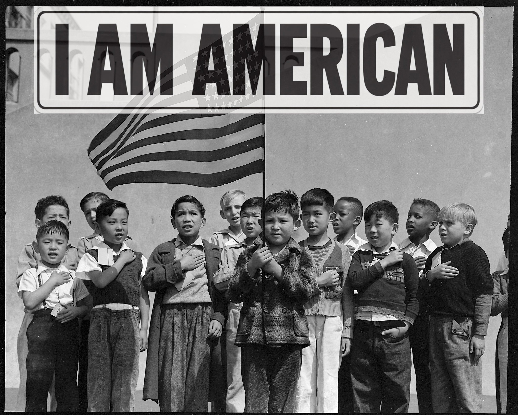 I AM AMERICAN SIGN n Pic